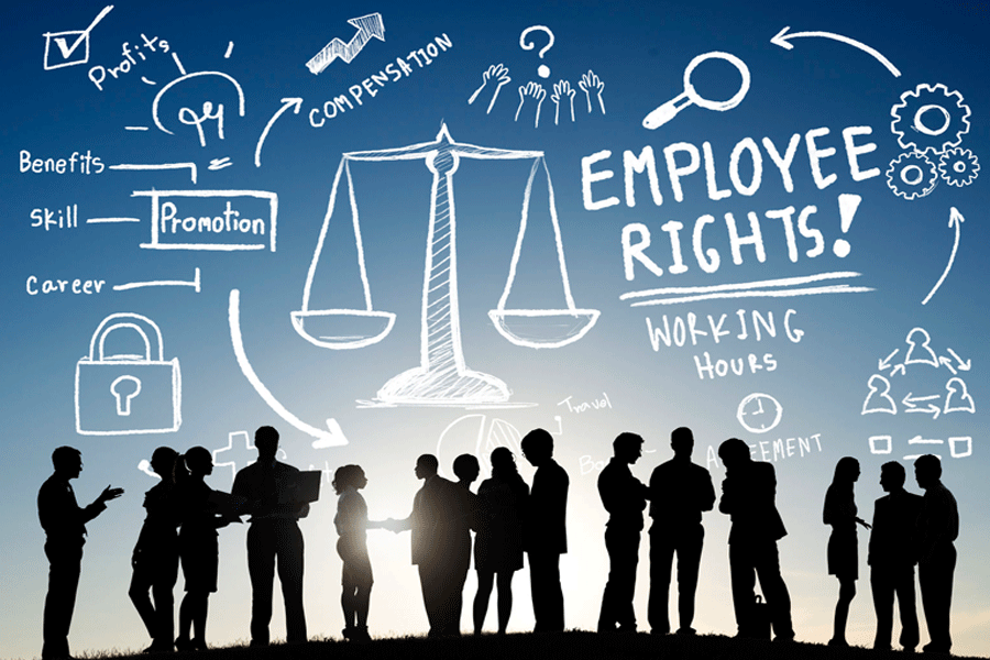 What are the Legal Rules an Employee Should Know?